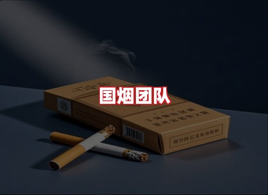 国烟团队